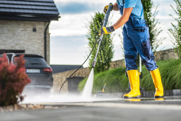 Best Animal Enclosure Cleaning  in Ridge Manor, FL